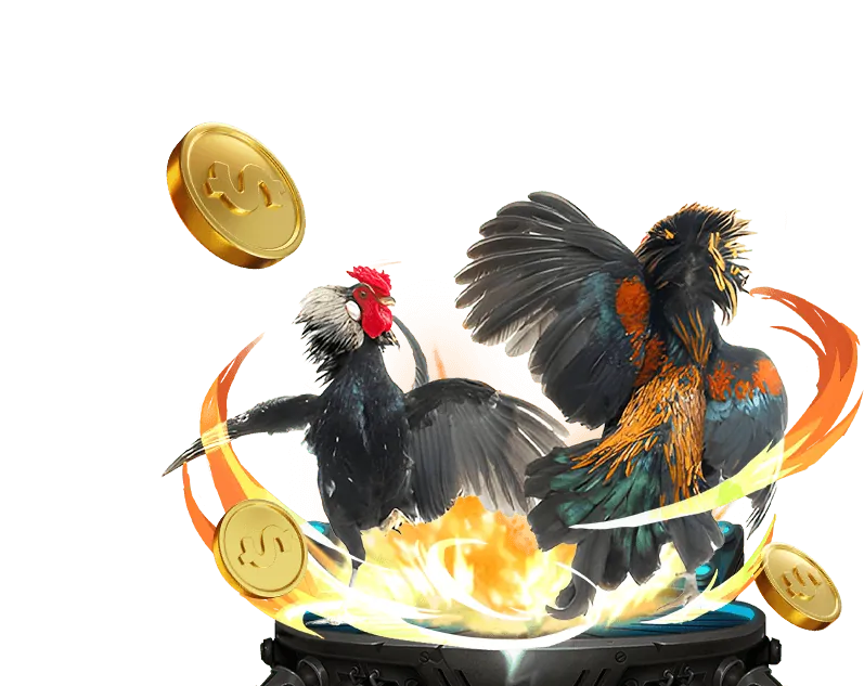 Tổng quan về dự đoán đá gà trực tuyến