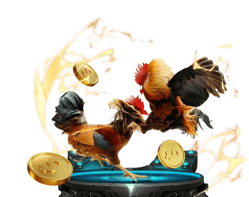 Giấy phép và quy định hợp pháp